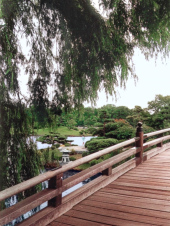 Botanischer Garten, japanischer Garten