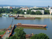 Novy Sad Pontonbrücke 2005