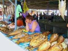 Vilkovo, Fischmarkt