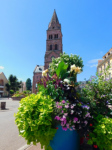 Munster, protestantische Kirche