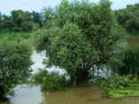 Donaudelta, Bootsausflug