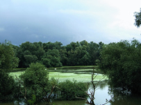 Donaudelta, Bootsausflug