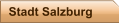 Stadt Salzburg