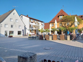 Bad Buchau, Ortszentrum