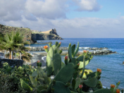 Madeira, Blumeninsel