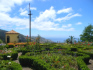 Funchal, Monte, Kaisergarten, Rosengarten