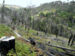 Pico do Arieiro