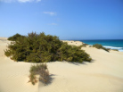 Sanddünen an der FV-1