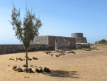 Caleta de Fuste, Strand