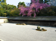 Ryuan-ji, Zen Garden