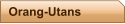 Orang-Utans